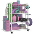 4-Tier Dumbbell Rack with Wheels and Hooks D8714