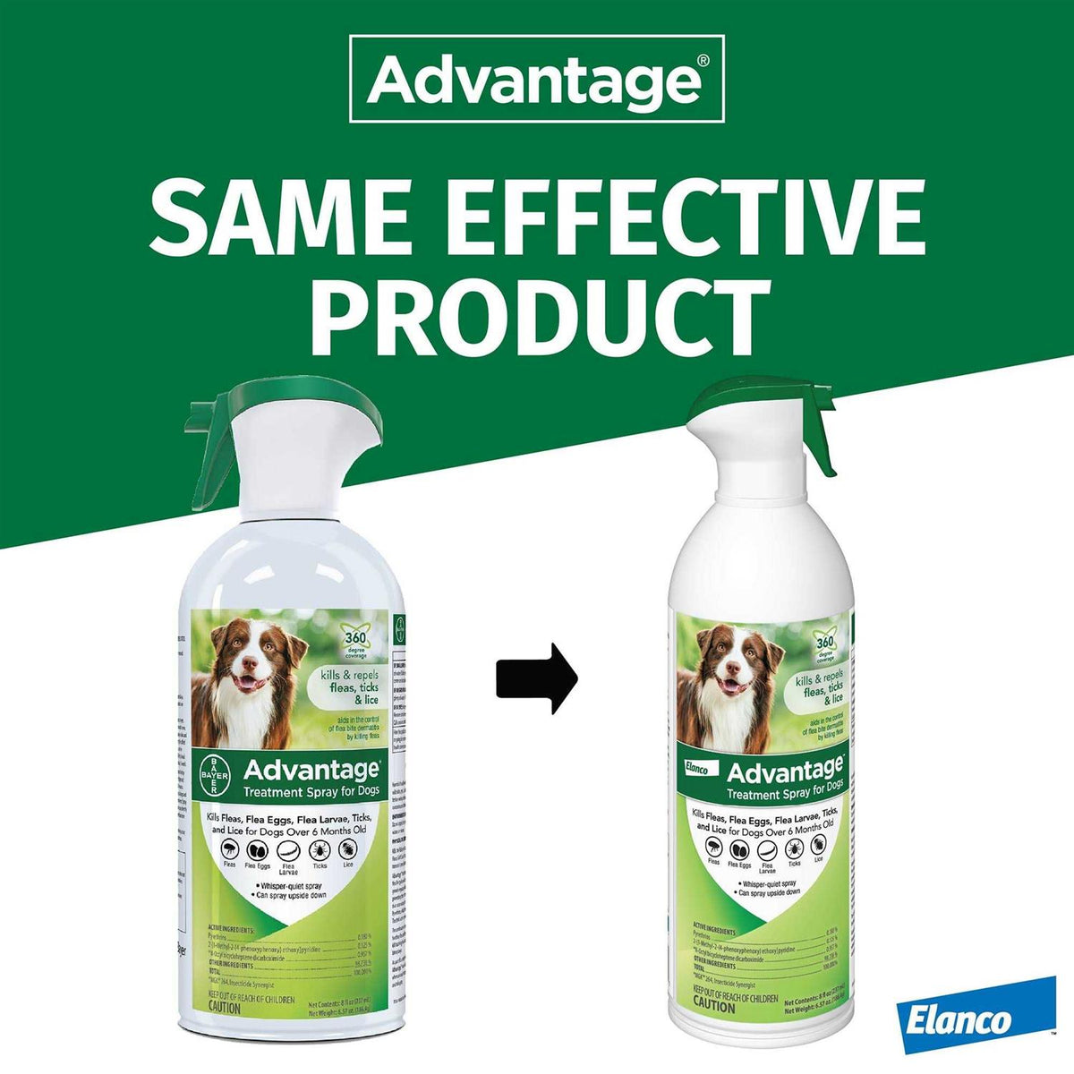 Flea & Tick Treatment Spray for Dogs F132