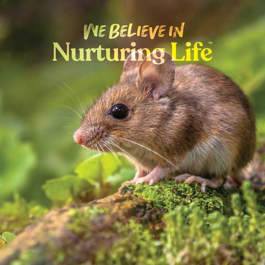 Small World Mouse and Rat Complete Feed A27686