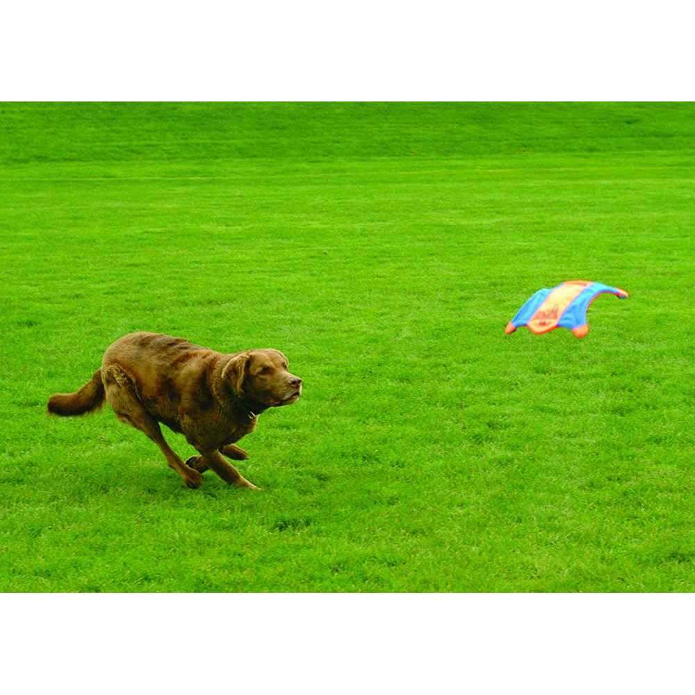 Flying Squirrel Toy G4910