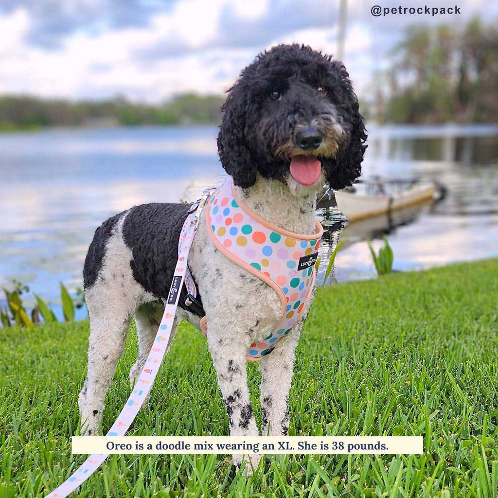 Reversible Harness G142448
