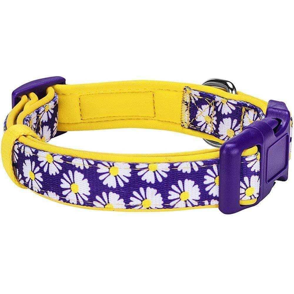 Dog Collar X676