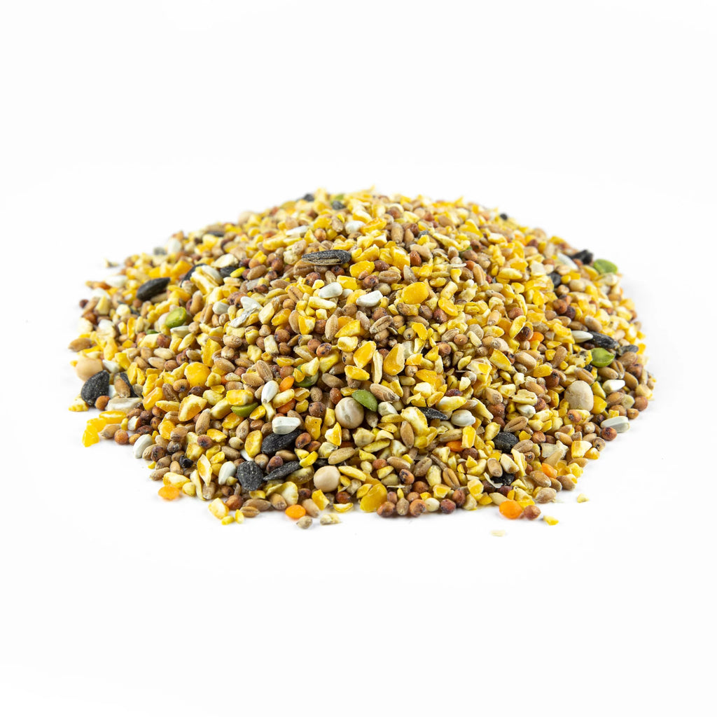 Poultry Scratch Grain 40 lb T533918