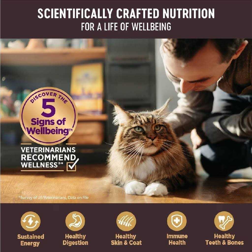 Flaked Wet Cat Food H405088