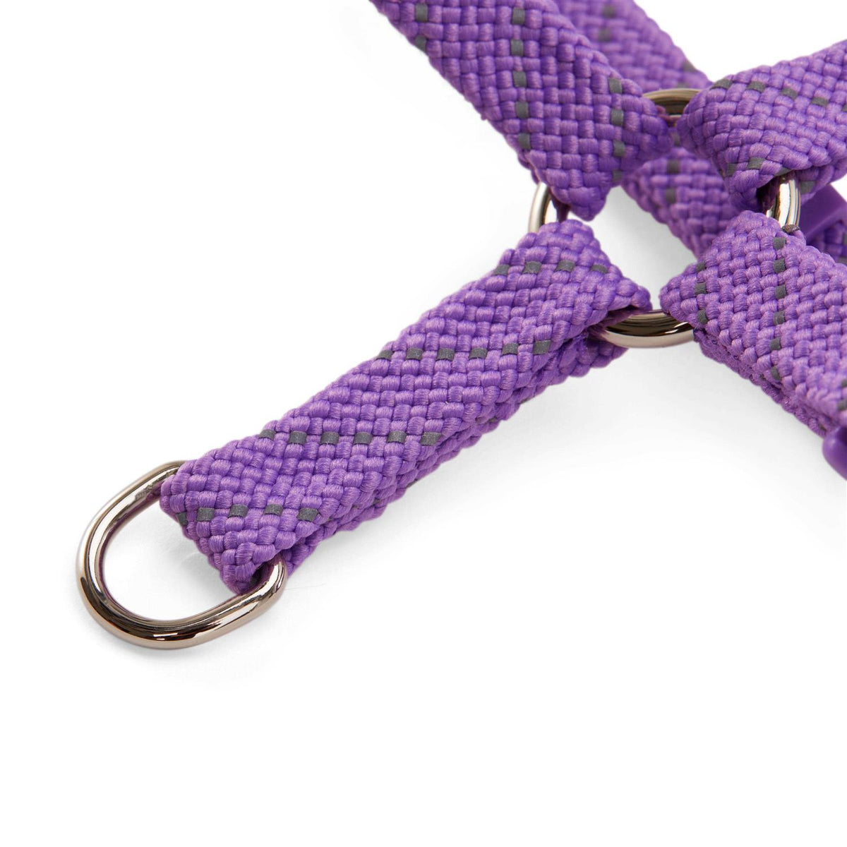 Reflective Purple Cat Harness Kit Set G1451