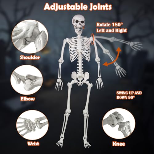 Life Size Skeleton with Movable Joints U404388