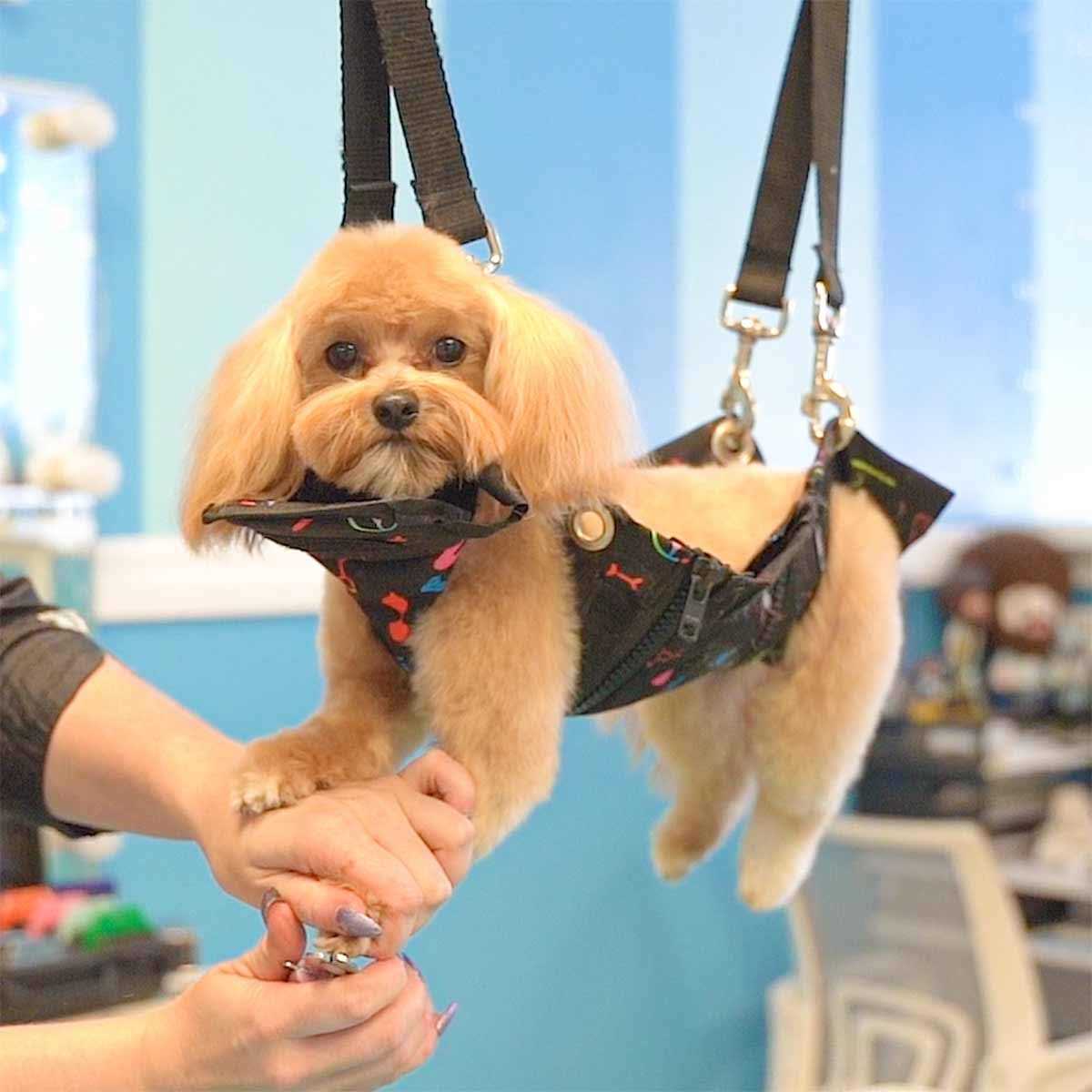 Black Pet Nail Grooming Hammock W4653