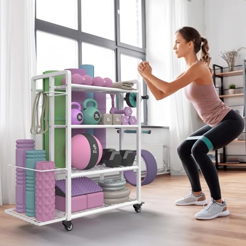 4-Tier Dumbbell Rack with Wheels and Hooks D8714