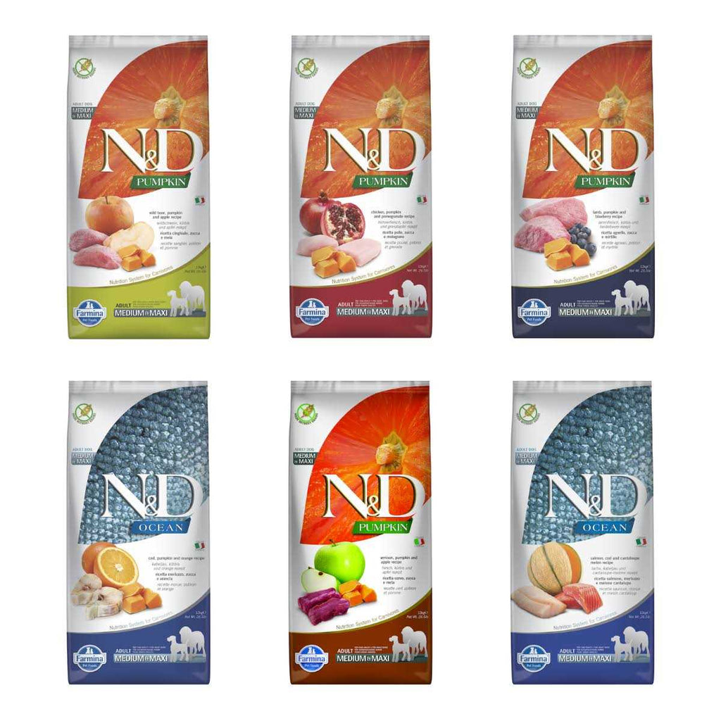 Chicken & Pomegranate Dry Dog Food X28124