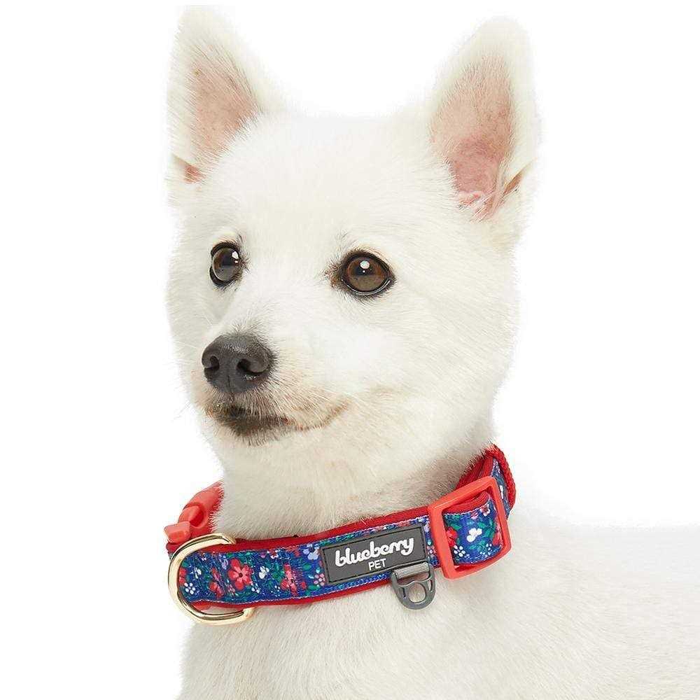 Dog Collar X676