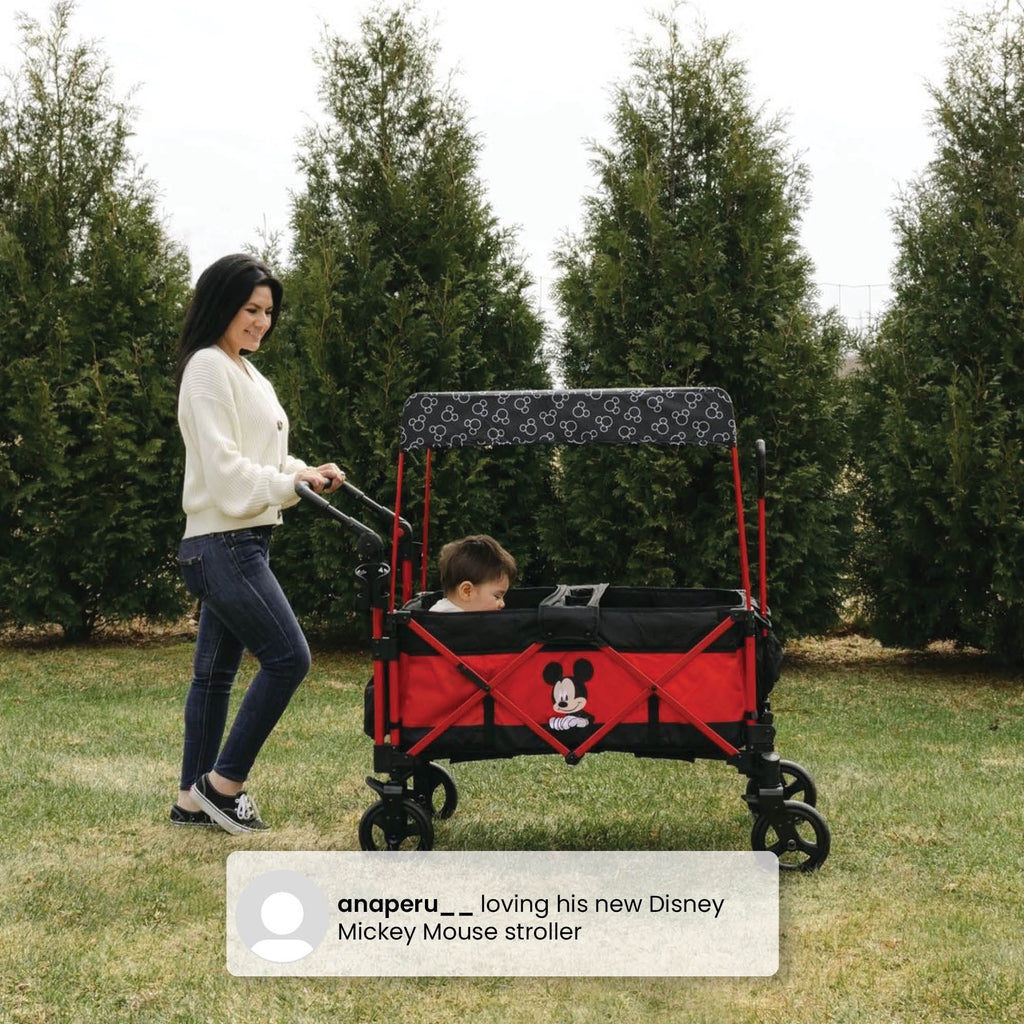 Stroller Wagon K3782