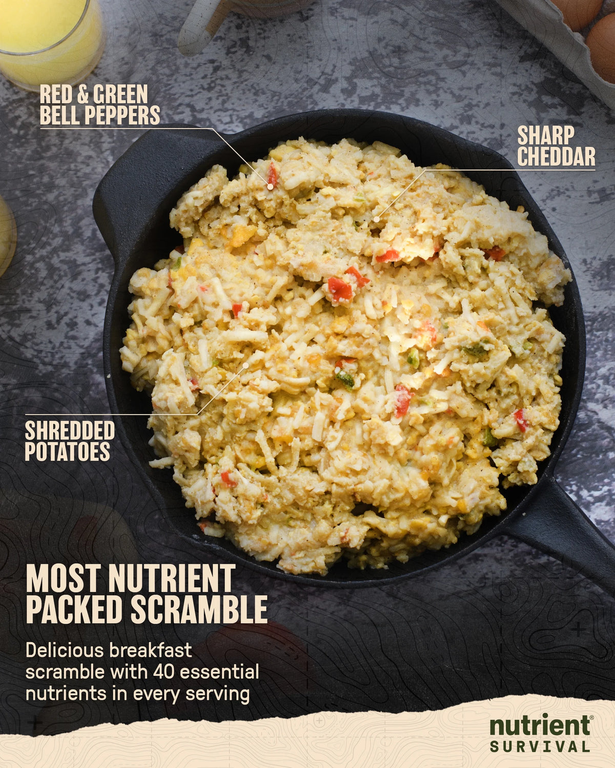 Homestyle Scramble Eggs Freeze Dried Emergency Food 10 Servings E823246