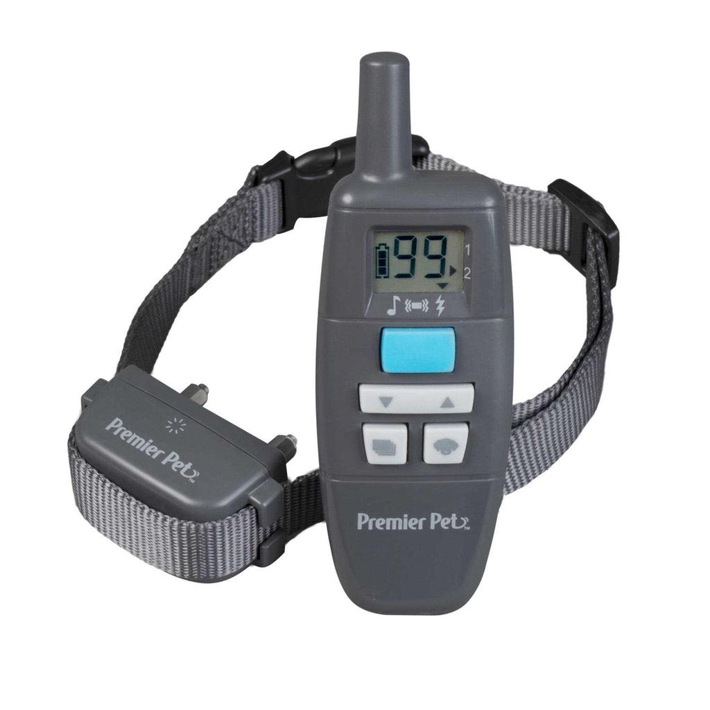 Remote Trainer D386344