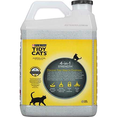 Scented Clumping Clay Cat Litter 20-lb Case of 2 Y70925