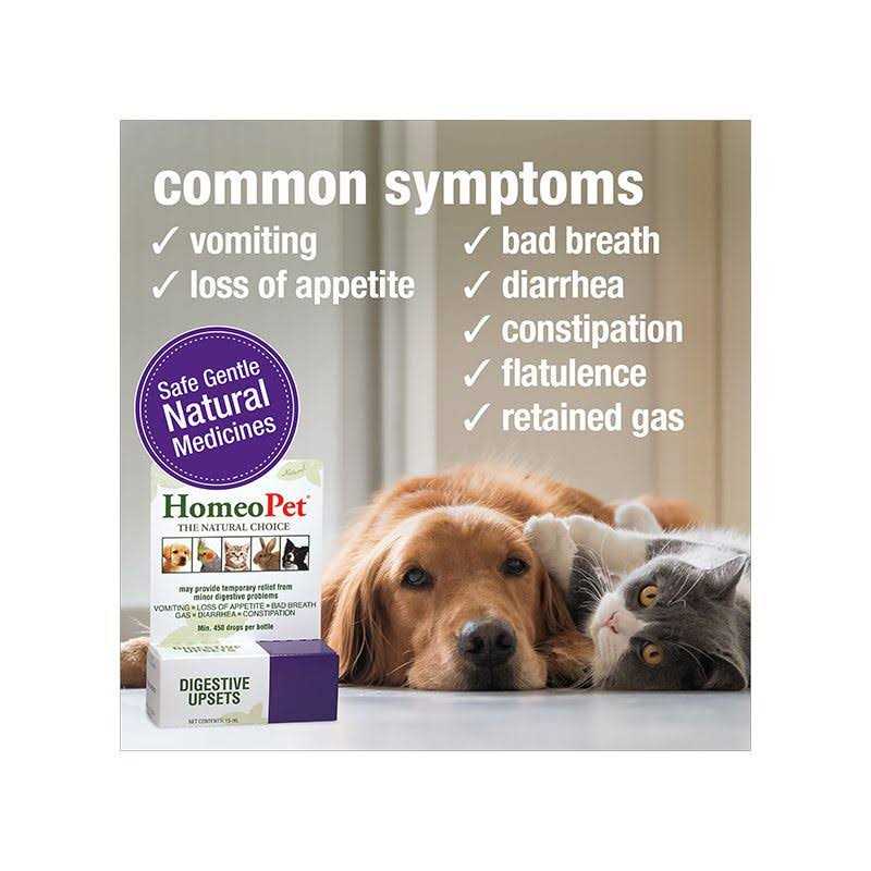 Pet Supplies K654