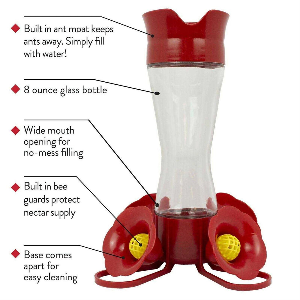 Glass Hummingbird Feeder 8 oz C99301