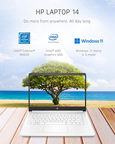 14-inch Laptop, Intel Celeron N4020, 4 GB RAM, 64 GB Storage, Windows 11 Home Q593890