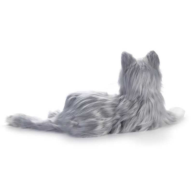 Companion Pet Cat M1500