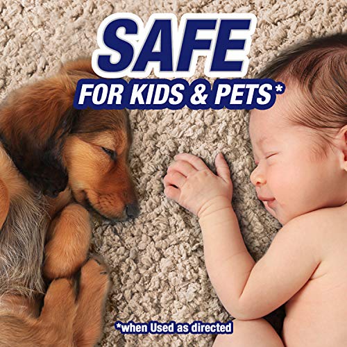32oz Pet Odor and Stain Remover Spray V280