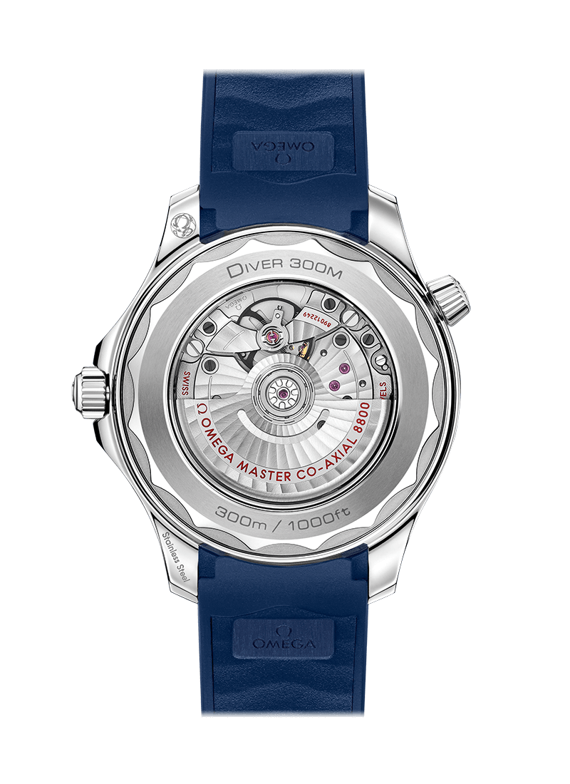 Blue Grey 42mm Dive Watch S618404