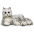 Companion Pet Cat M1500