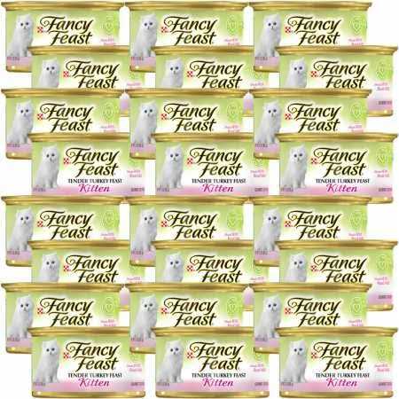 Canned Food T737291