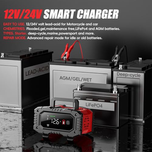 20Amp 12V/24V Smart Automatic Battery Charger X253176