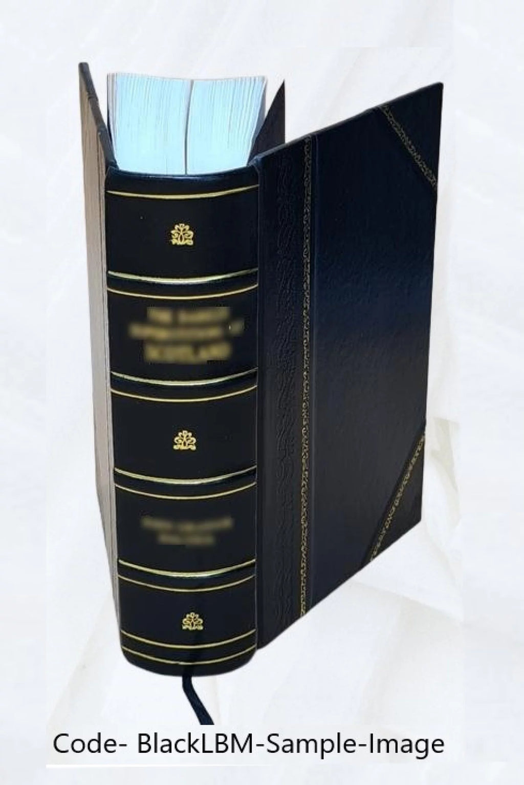 Leather Bound J568599