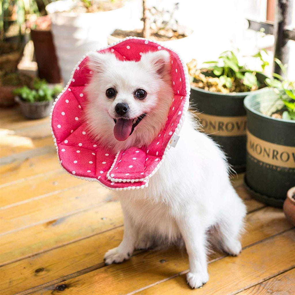 Soft Adjustable Cat Dog Recovery Collar R508429