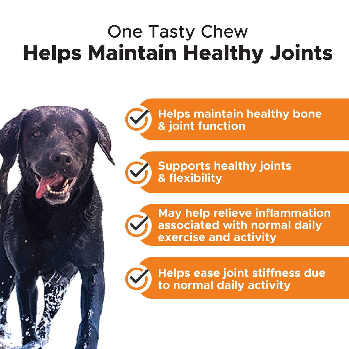Chicken Hip + Joint Health Soft Chews for Dogs H53376