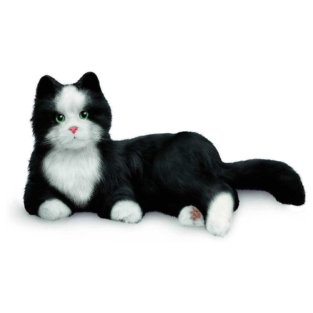 Companion Pet Cat M1500