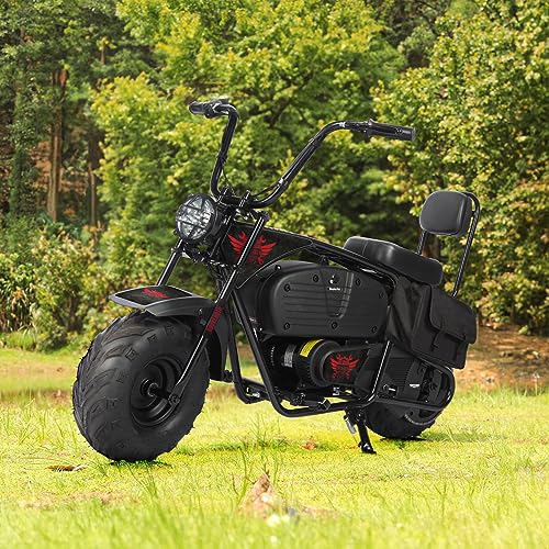 36V 1000W Electric Kids Dirt Bike, 2-Speed Modes, Red S44408