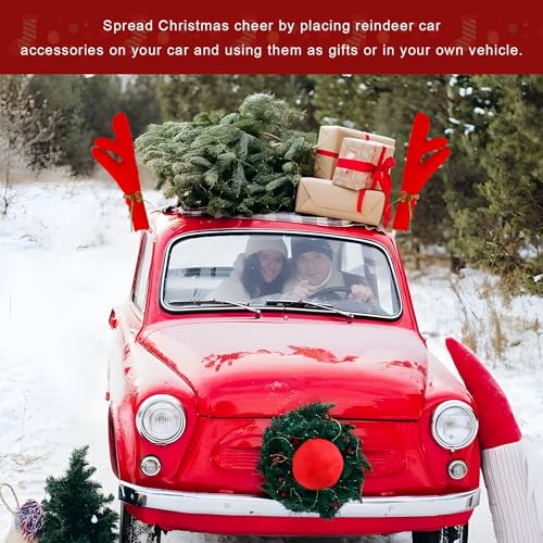 Reindeer Car Decoration Kit with Nose & Antlers N7549