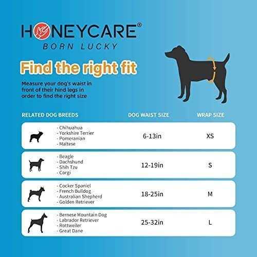 Male Dog Wrap K929465