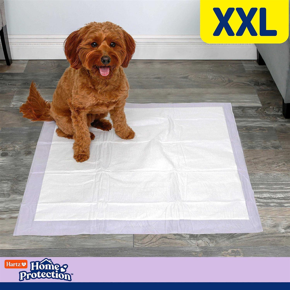 Lavender Scent Odor Eliminating Dog Pads L573961