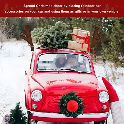 Reindeer Car Decoration Kit with Nose & Antlers N7549