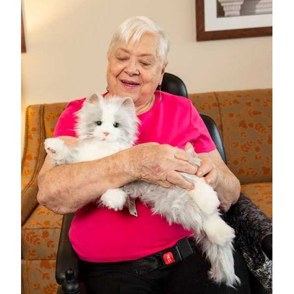 Companion Pet Cat M1500