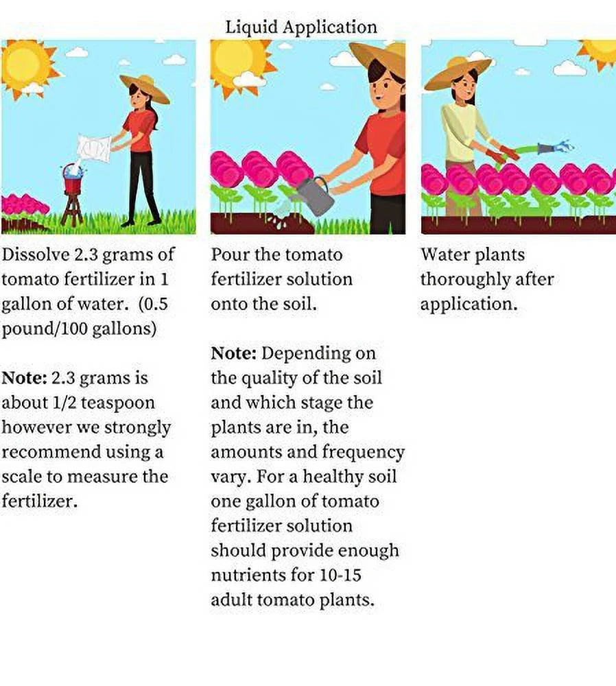 Water Soluble 4-18-38 Tomato Fertilizer Powder with Micro Nutrients 10 Pounds Y7830