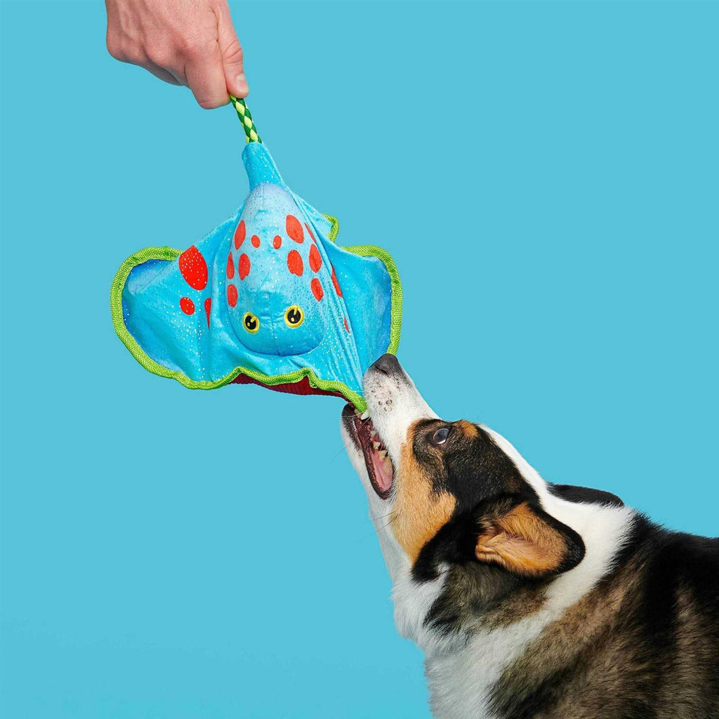 Dog Toy B625243