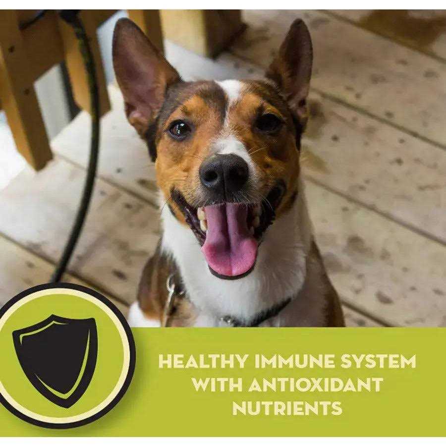 Natural Chicken Meal & Brown Rice Formula Adult Dry Dog Food G264099