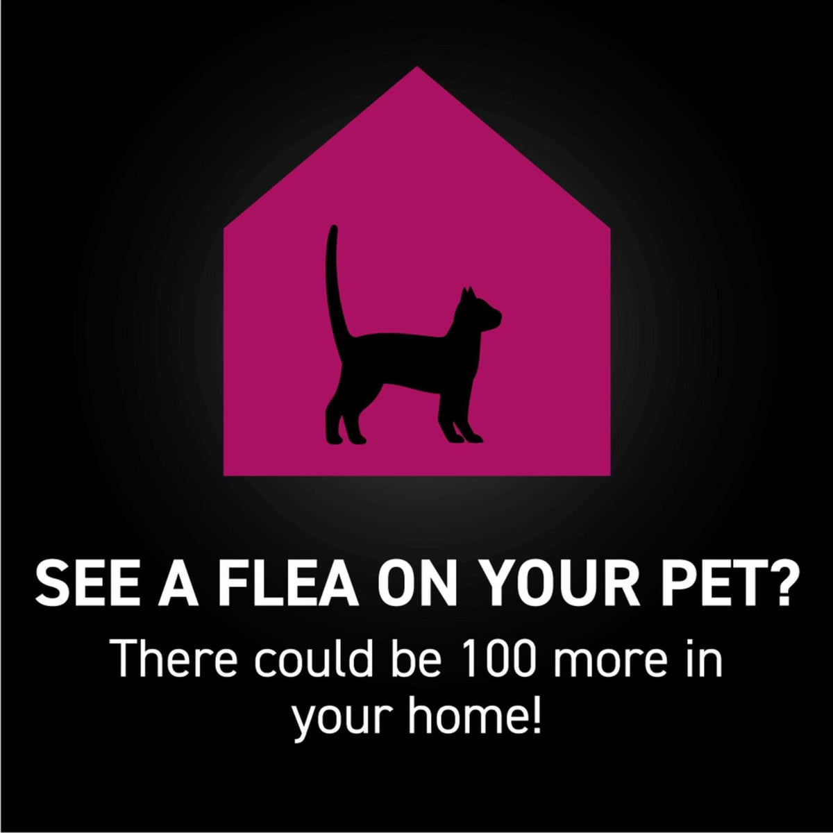 Fast Acting Cat Flea & Tick Treatment U6205