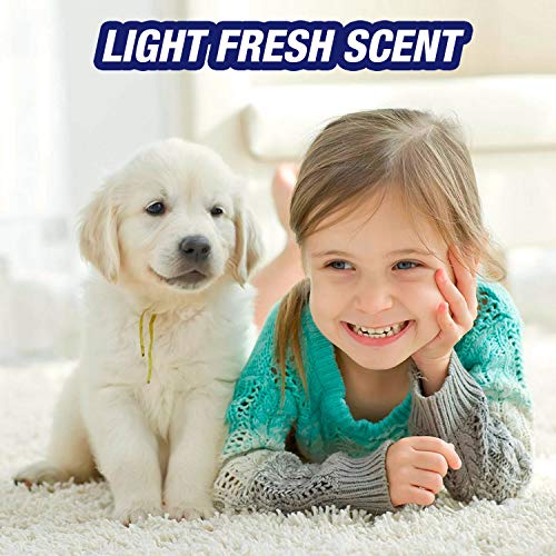 32oz Pet Odor and Stain Remover Spray V280