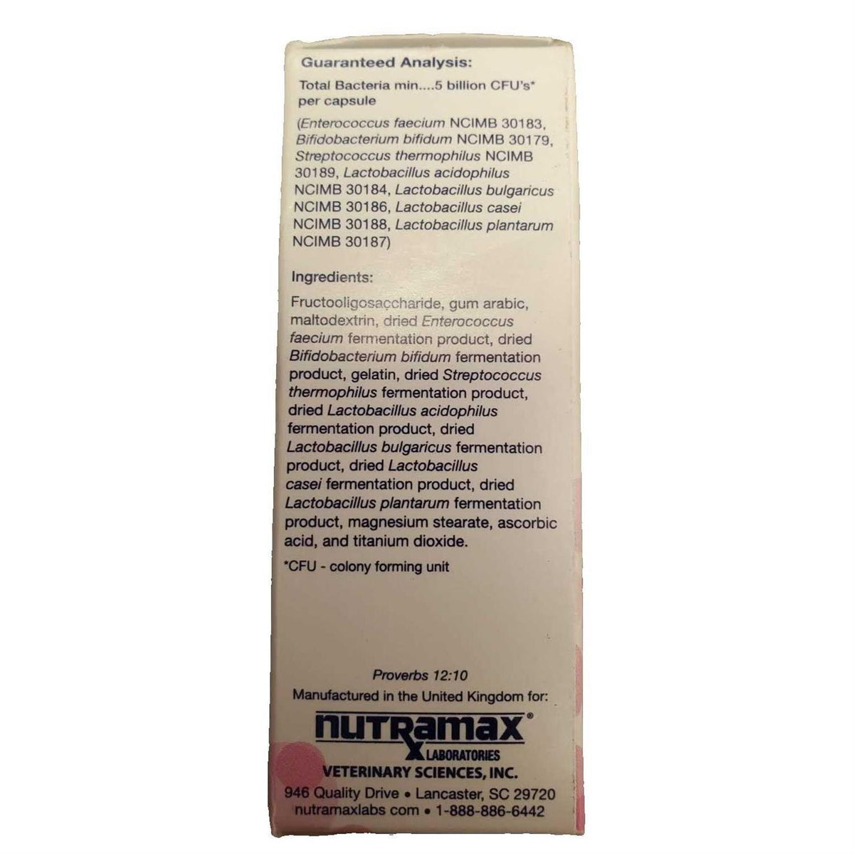 Cat Digestive Supplement Capsules P76395
