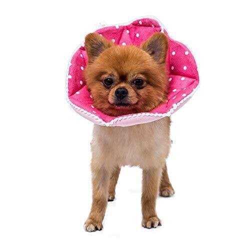 Soft Adjustable Cat Dog Recovery Collar R508429