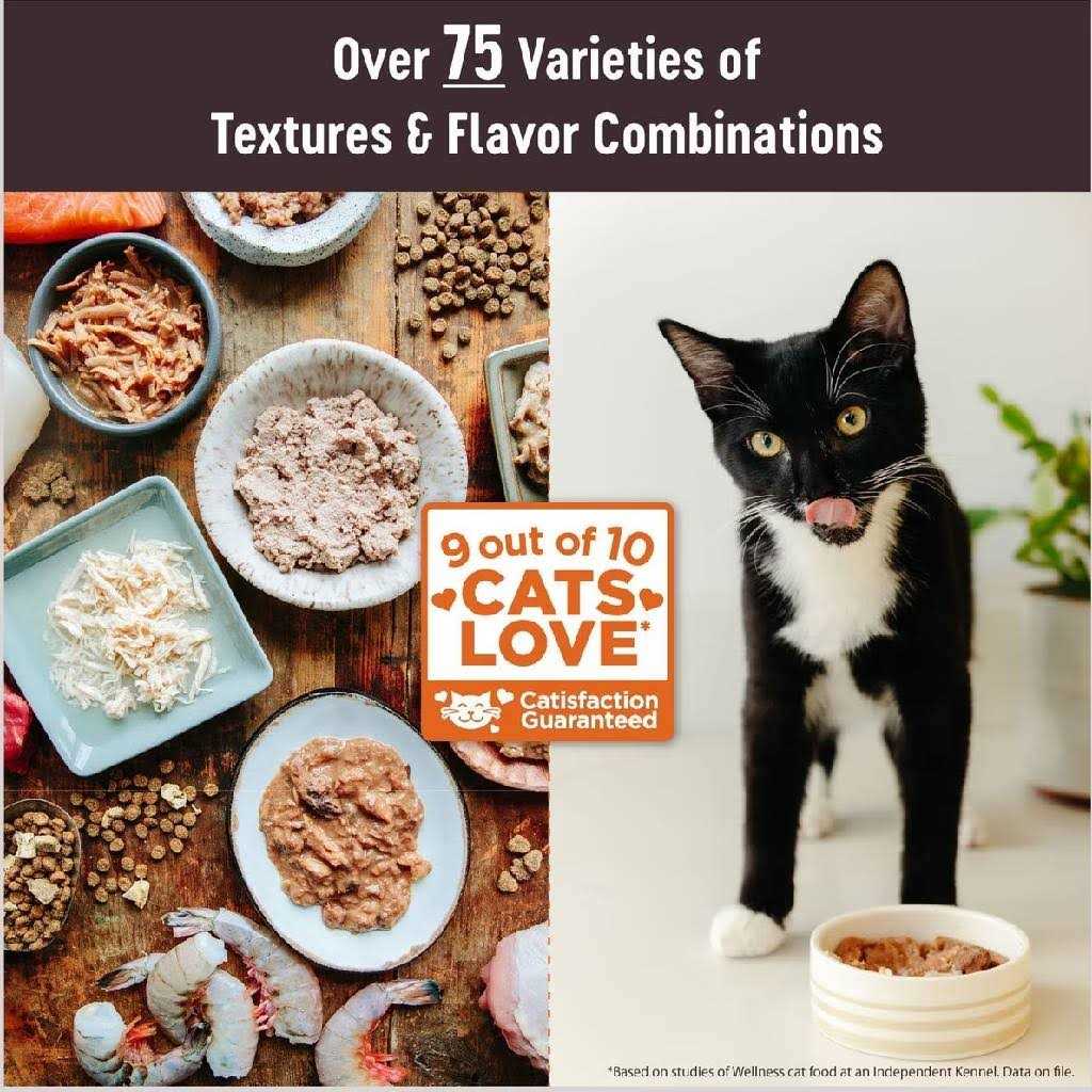 Flaked Wet Cat Food H405088