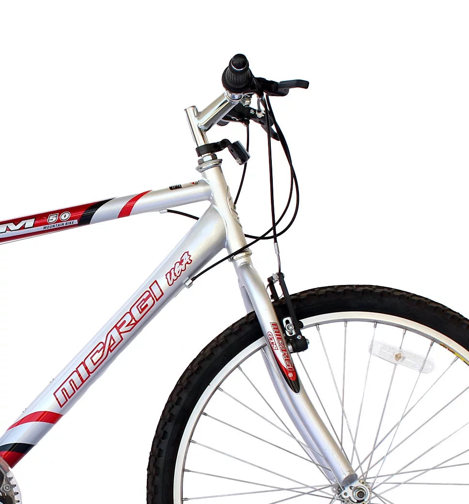 26 Inch 18 Speed Steel Frame Mountain Bike U68155