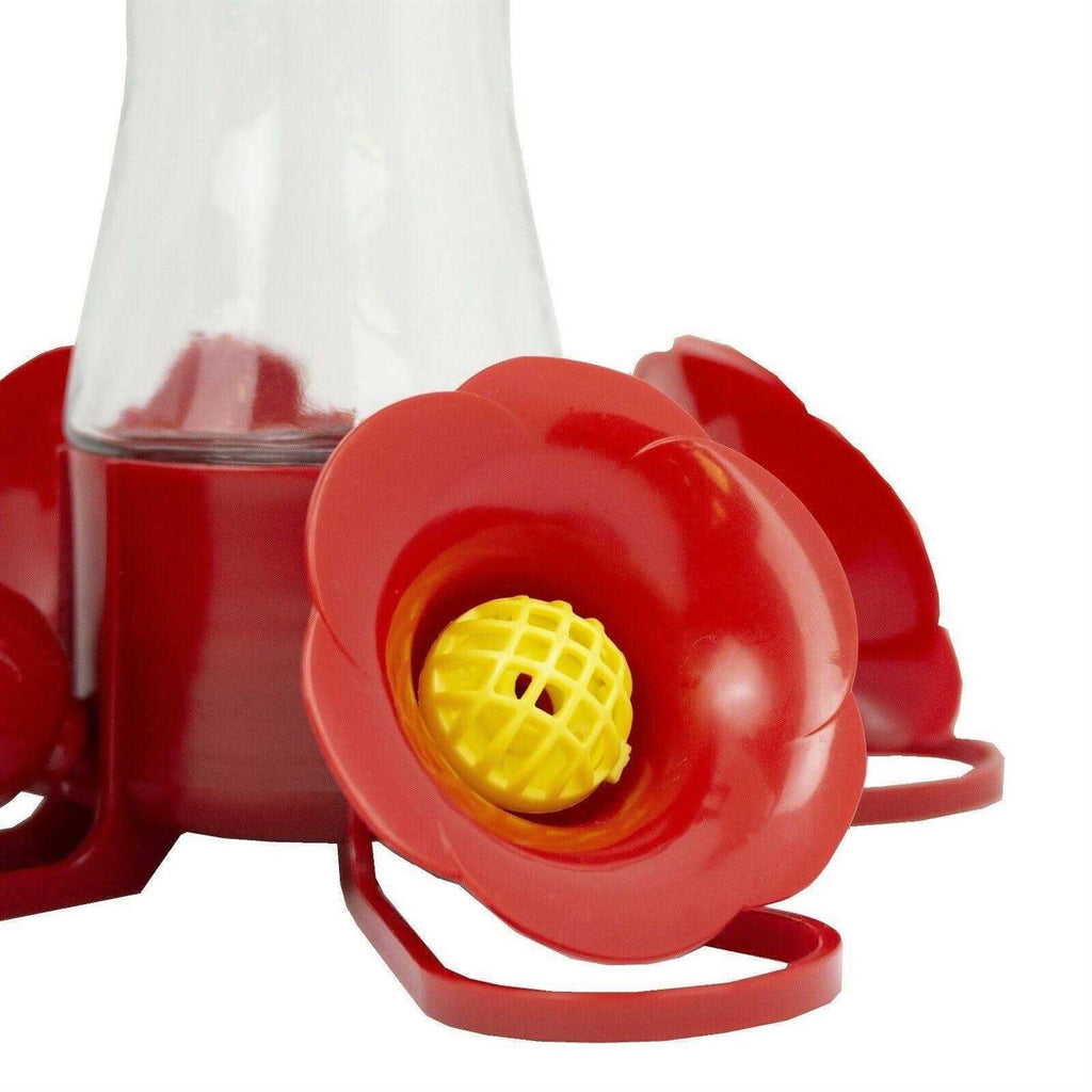 Glass Hummingbird Feeder 8 oz C99301