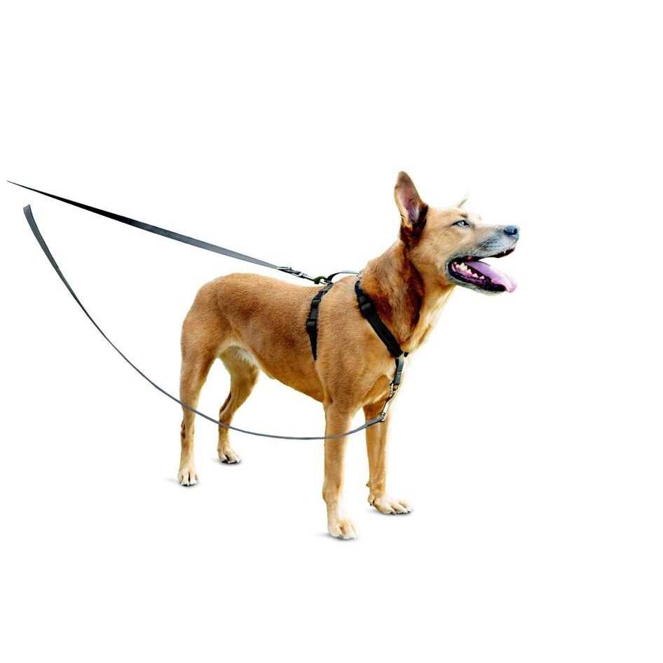 3 in 1 Harness with Two Point Control Leash O8237