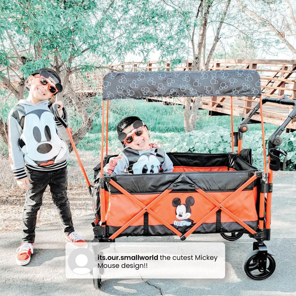 Stroller Wagon K3782