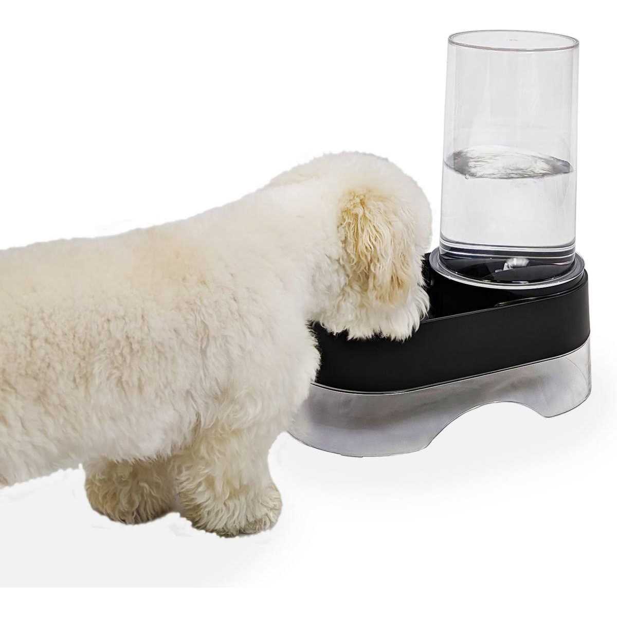 Elevated Gravity Pet Water Dispenser I176